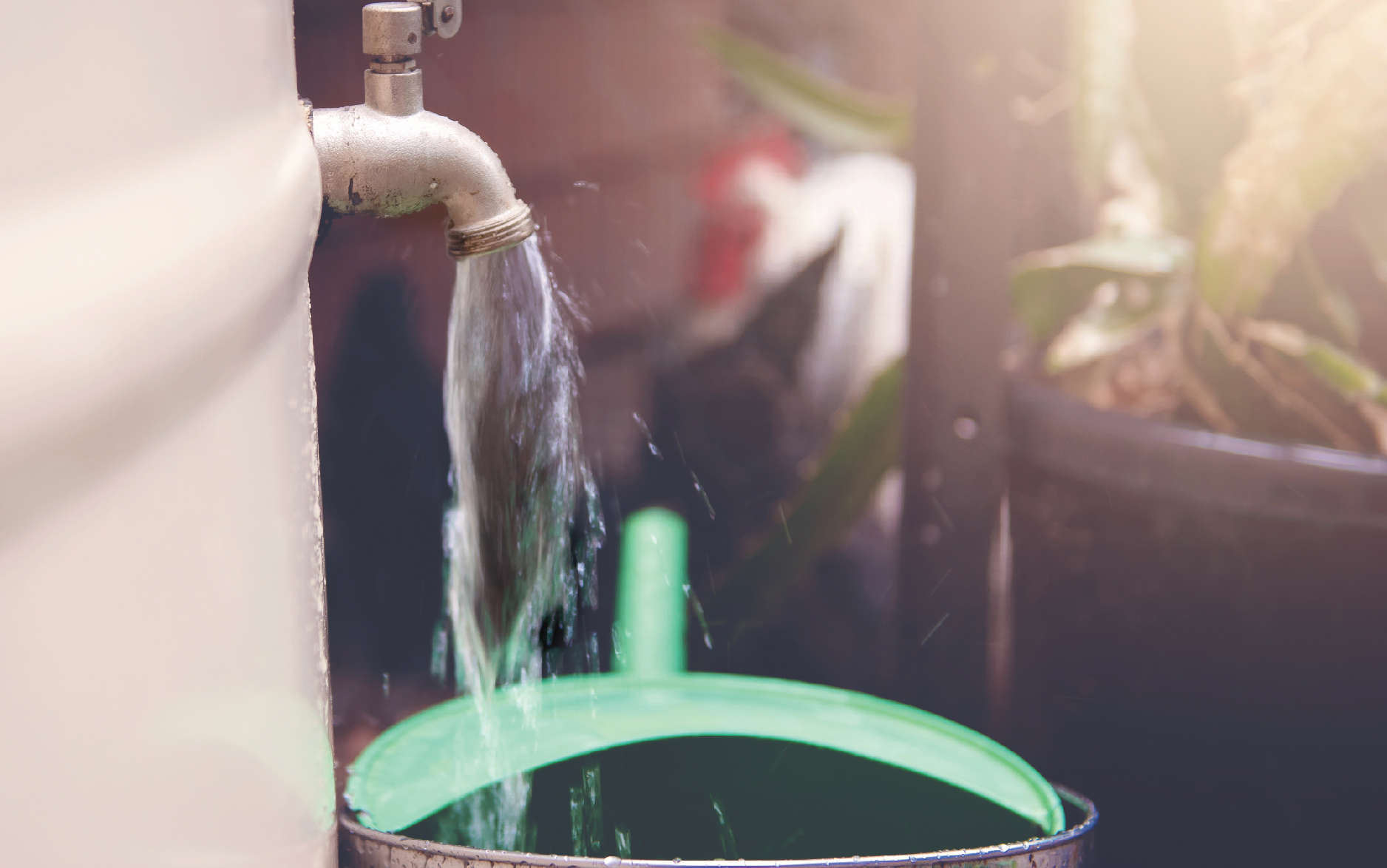 Agua que no has de tener