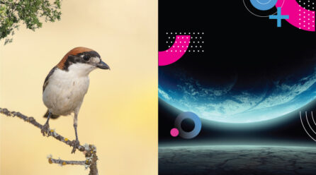 turismo_027_web-barrio-900x563-1-446x248 Home