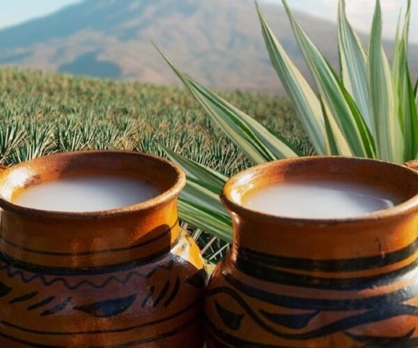 Pulque_Barrio--600x500 Home