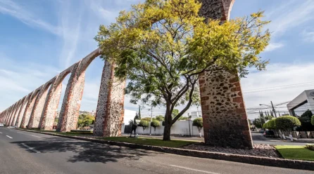 IMG_3607-446x248 CENTRAL