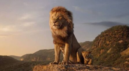 IMG_4790-1-446x248 CENTRAL