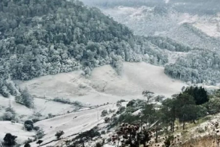 ¡Nevó en la Sierra Gorda! Alerta por frío extremo