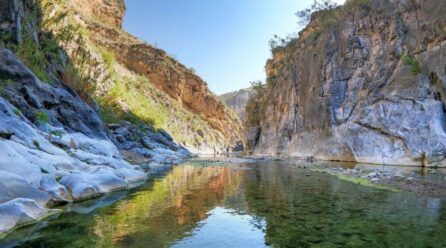 Canon-Paraiso_Barrio--446x248 Home