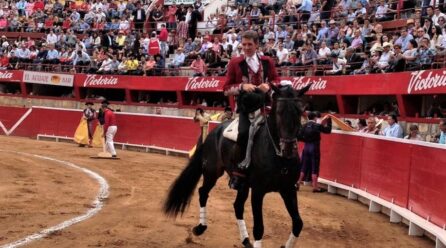 Toros_Barrio-446x248 CENTRAL