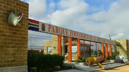 Zoo_Barrio-446x248 Home