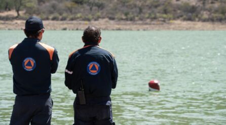 Bordos_Barrio-446x248 Home