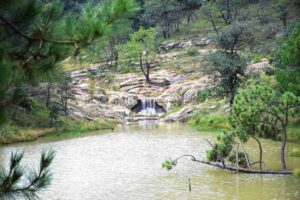 Parque Natural La Beata: área natural protegida en Amealco