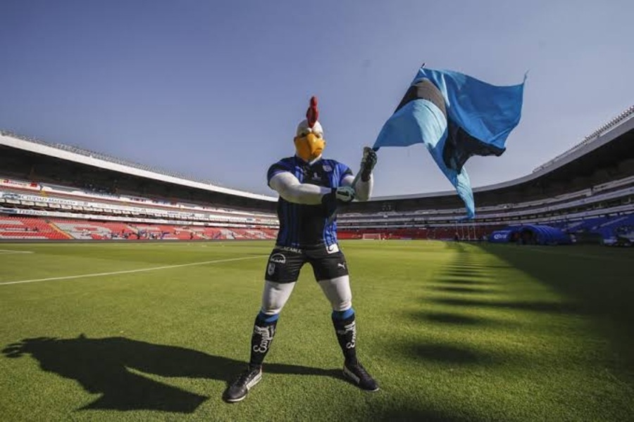 Gallos Blancos sí cantan en casa