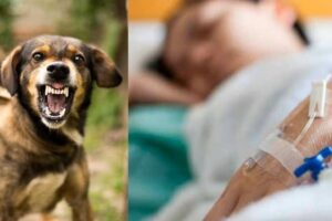 Alerta en México: rabia humana cobra vidas