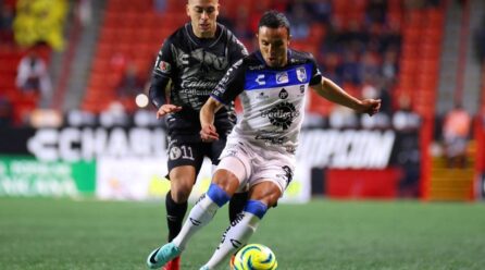 Gallos_Barrio-446x248 Home