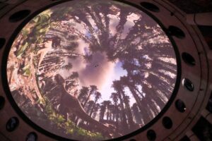 Qro estrena experiencia inmersiva de dinosaurios gratis