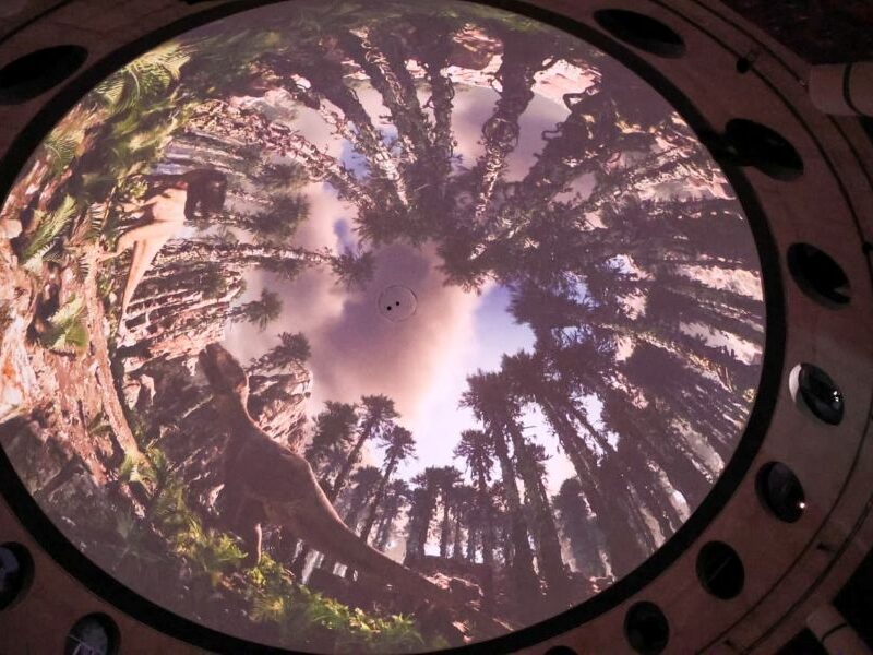 Dinosaurios_Barrio-800x600 Inicio